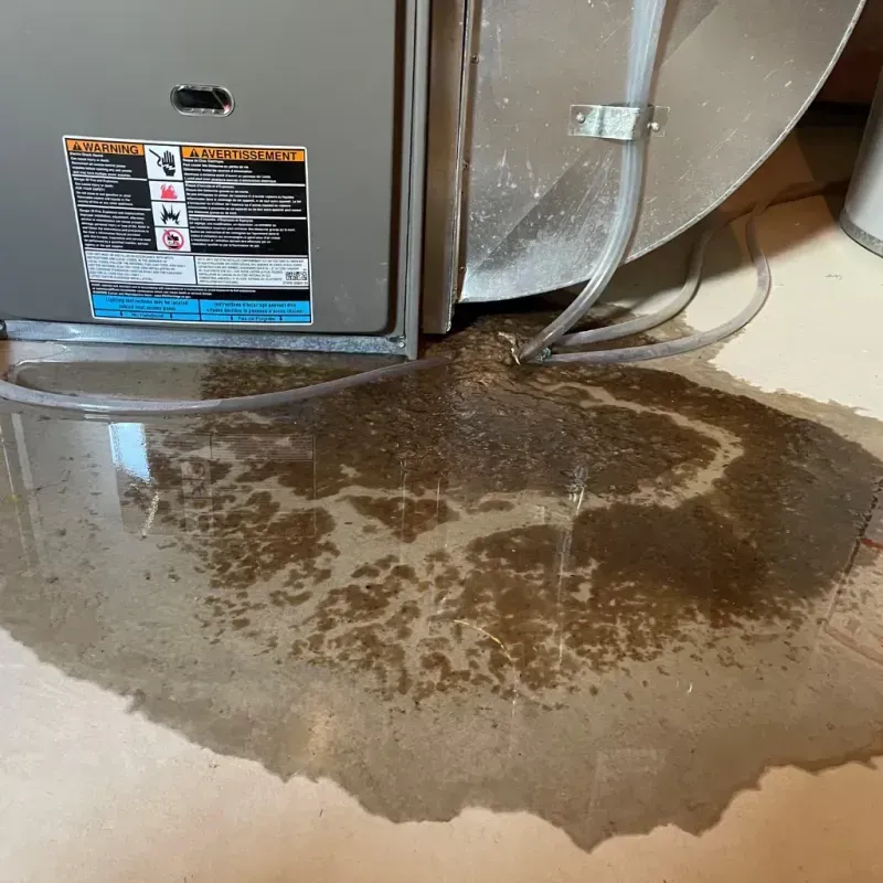 Appliance Leak Cleanup in Johnson, AR